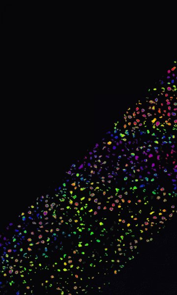 Абстракция,черный фон,полоса точек.2