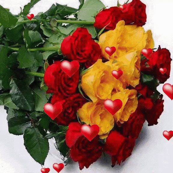 IMG 20171117 211416 47