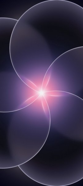 adapted 1080x2408 1772526198