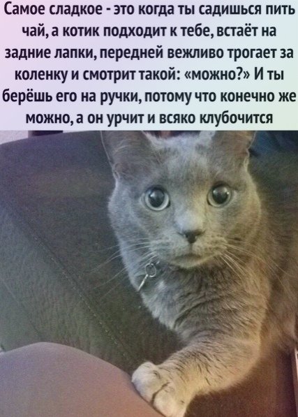 file_83405413