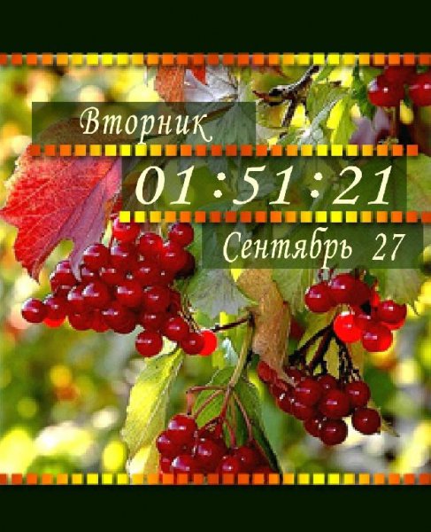 Калина