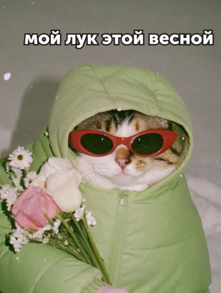 FB IMG 1778007085556