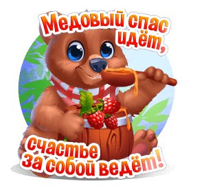 IMG 20210814 192121