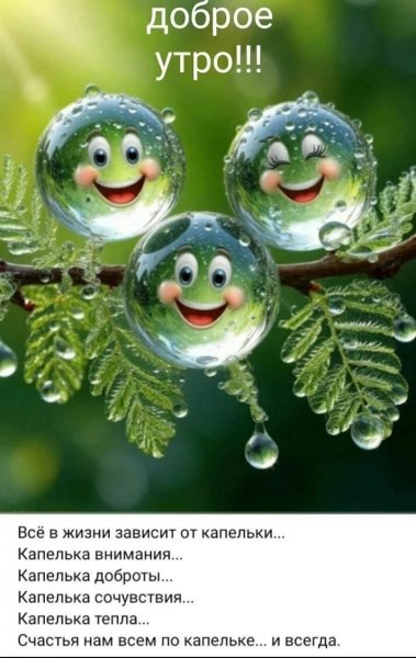 D17551815541aedee60b5a119c93f3e7