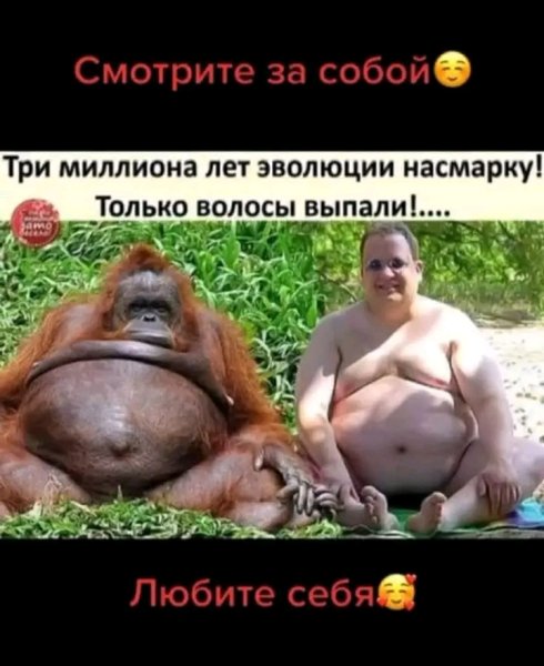 file_103164149