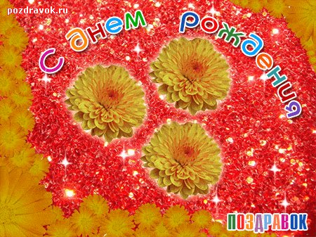 otkrytka-den-rozhdeniya-animatsiya-tsvety