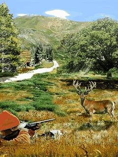 Hunting Mania 2  Nokia s40  240x320