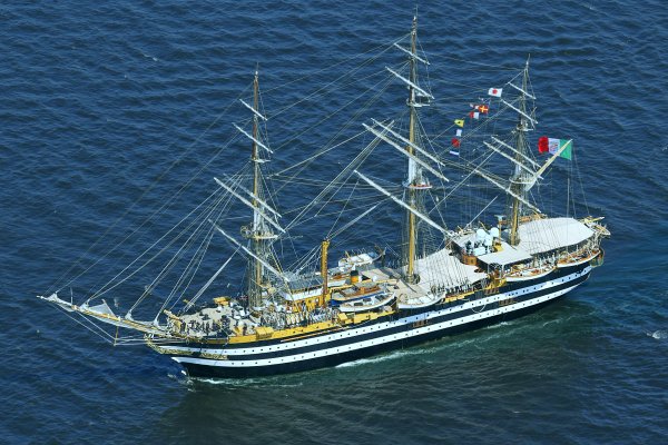 IMG viter59 221739