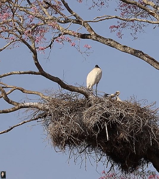 6e5ed847bca073bec6b44ced86691979