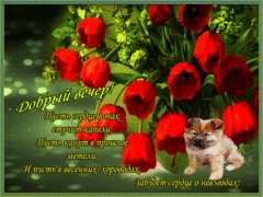 Добрый вечер