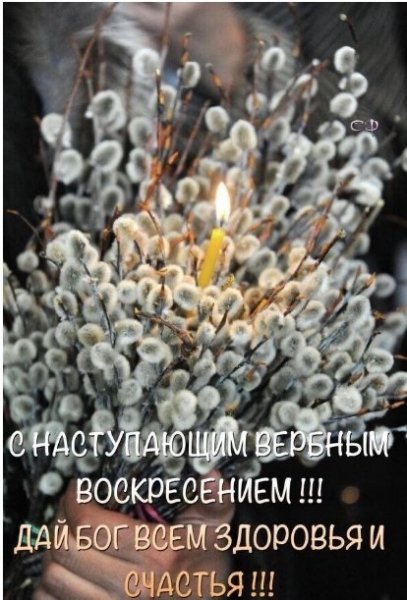 file_93257089