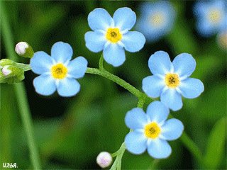 file_66003797