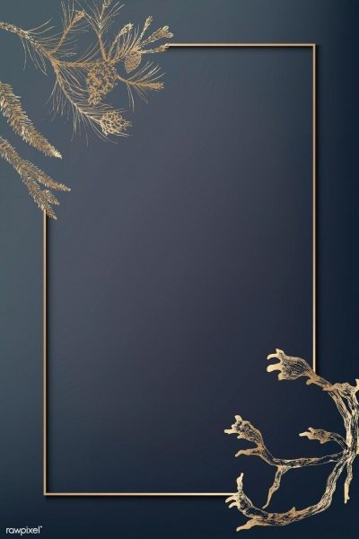 C44e0f209096cfb1f1c3e5ba4155b1f1