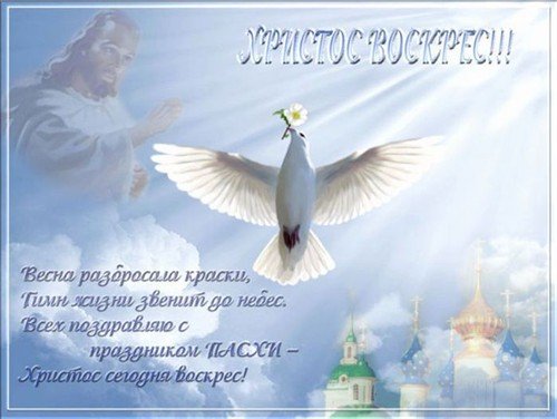 file_84148153