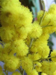 Наташа с 8 Марта