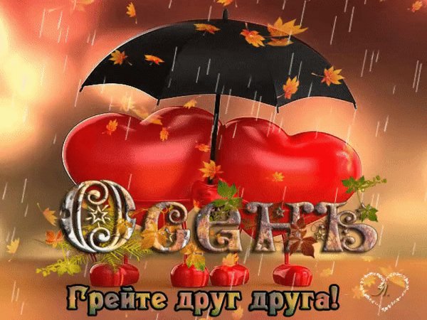 gif 1536128276