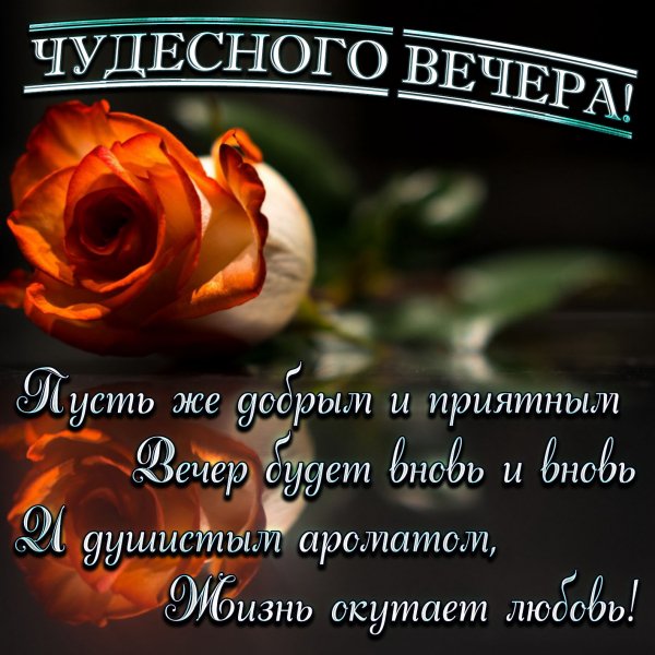 IMG 20190130 787070