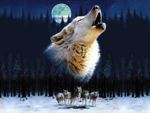 getImage(5)