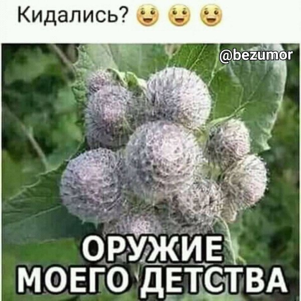 IMG 20210316 202340 612