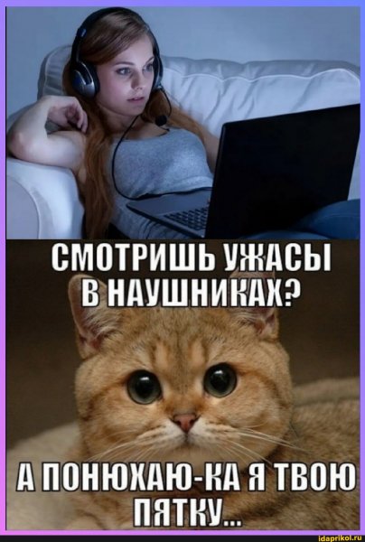 A438c4fb900e970d404e8ba79e216b532daf938274d 1