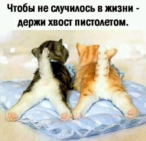 file_88919721