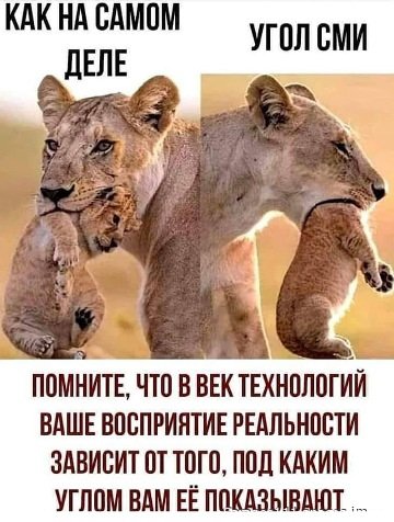 IMG Udachnyj prikol)