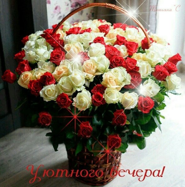 IWZhaHeYp Q