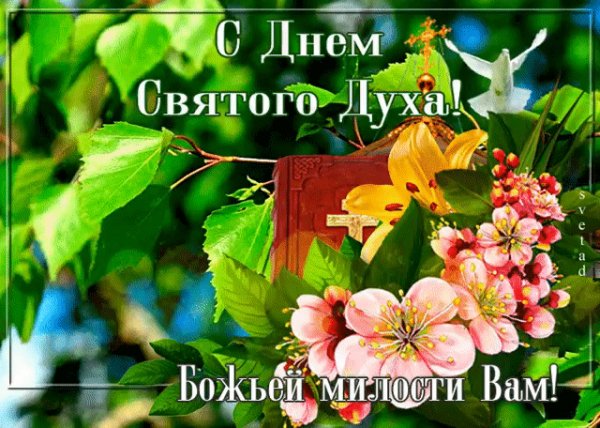 file_93744734