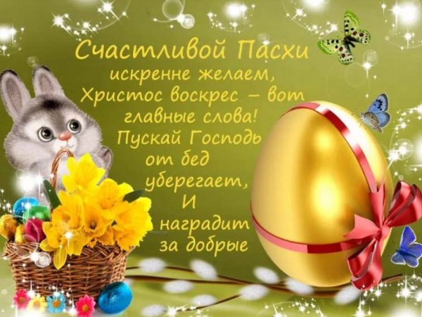 file_84185897