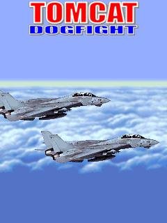 Tomcat Dogfight