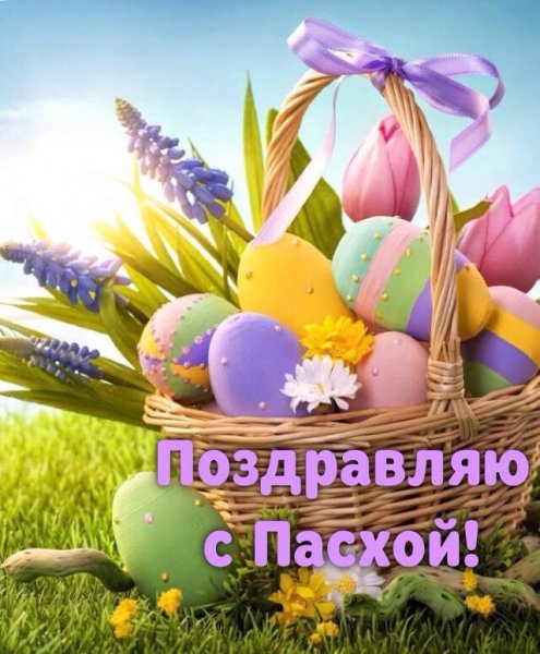 file_84185249