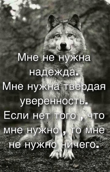 IMG 20190101 114010