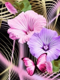 file_58525875