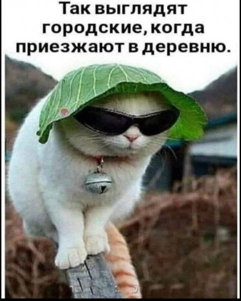 FB IMG 1776447007319