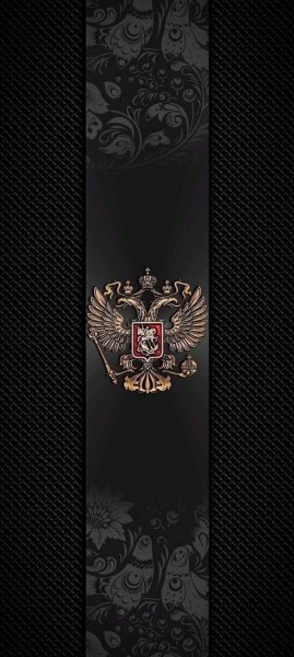 adapted 1080x2408 1769760985