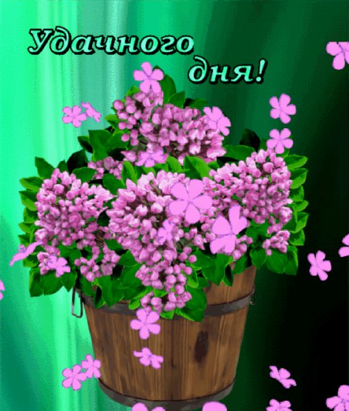 file_73436980
