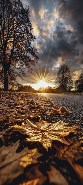 3fae62d3ea719b7d7aa1d0923cab7bef