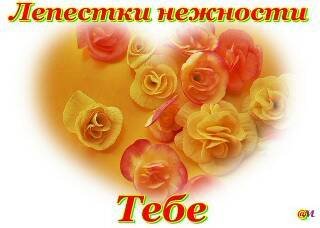 file_5329779