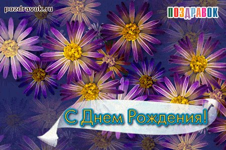otkrytka-den-rozhdeniya-tsvety-fioletoviy