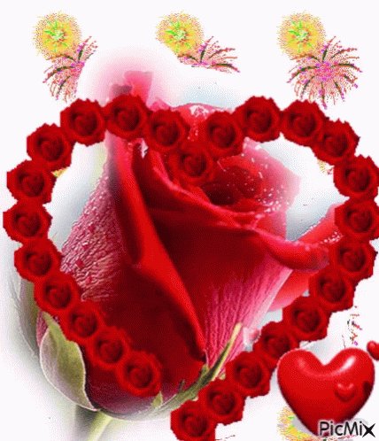 Love Heart GIF - Love Heart Rose - Discover &amp; Share GIFs