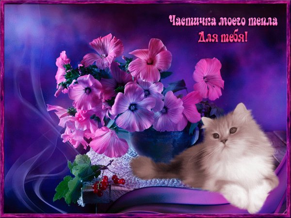 Частичка моего тепла для тебя!