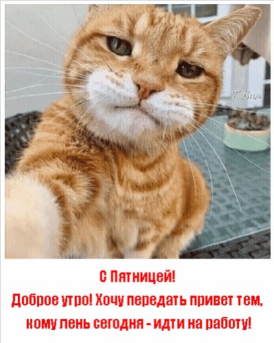 Анимированная открытка с пятницей