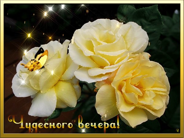 Чудесного вечера!