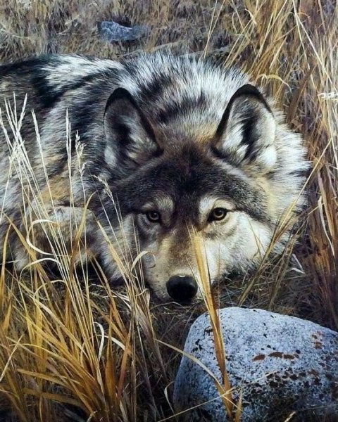 photo 1592424055