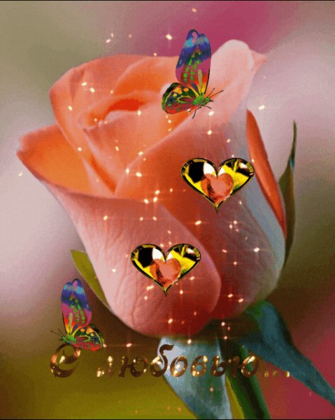 E6ca9de9284c9957db3af5d3d6bf602e