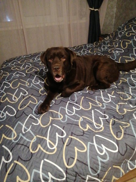 WWJANJSDFHJKKJHFDSQG8