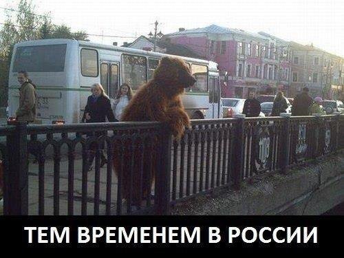 Тем временем в России ))))