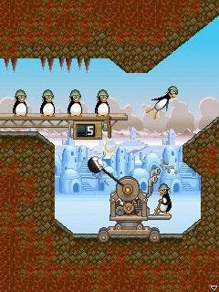60 Crazy Penguin C