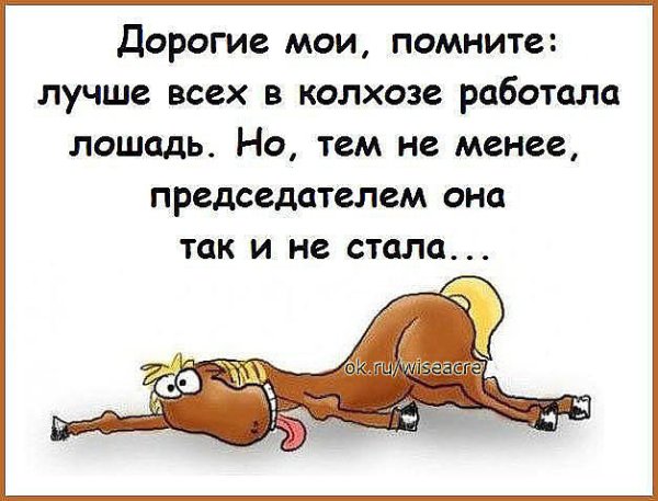 IMG 20150718 111133 41