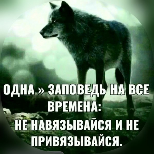 PhotoEditorPro 1777210175661